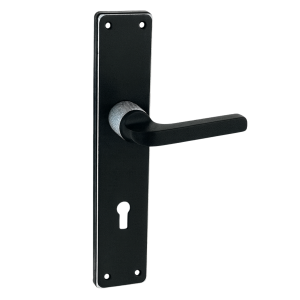 Hisar Aynalı Kapı Kolu