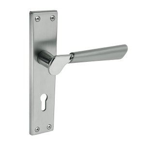 Şehzade Aynalı Kapı Kolu