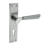 Şehzade Aynalı Kapı Kolu